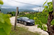 Le Jaguar nella zona del Prosecco e Cartize (121/152)